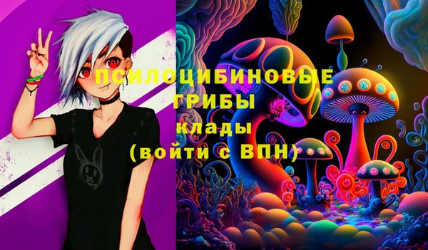 jwh Осинники