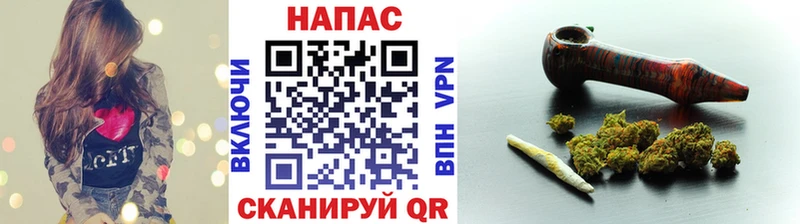 Канабис OG Kush  Судогда 